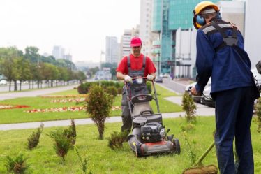 lawn service in Alexandria, VA.