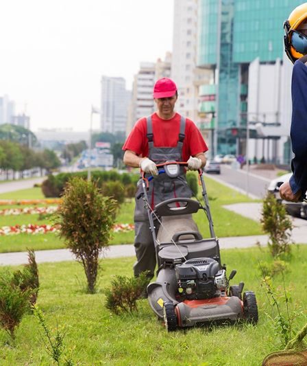 lawn service in Alexandria, VA.