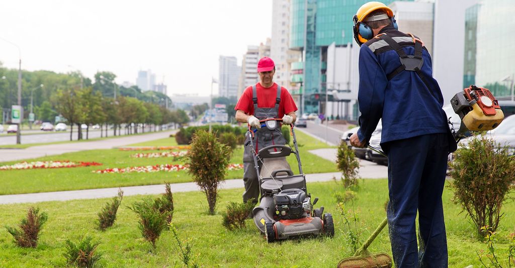 lawn service in Alexandria, VA.